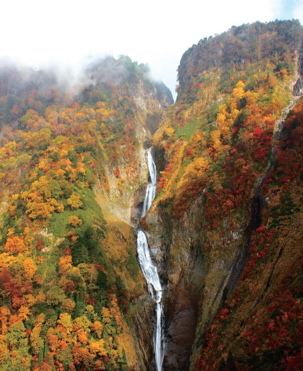 即刻出發 立山黑部迎接紅葉最佳觀賞期